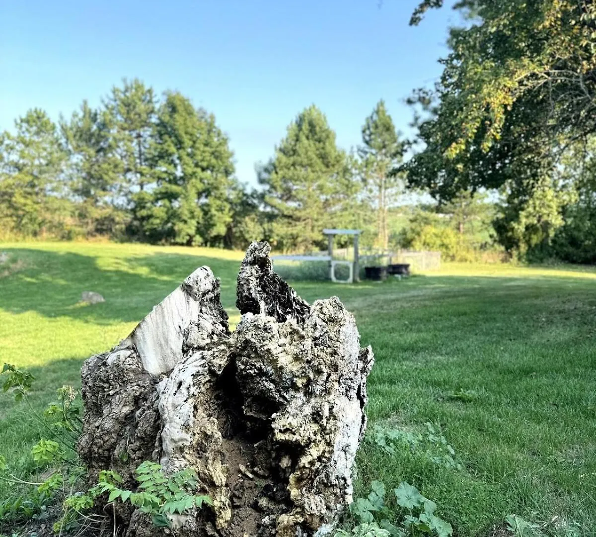 Vakantiehuis Charming Rustic Farmhouse Caledonia Canada
